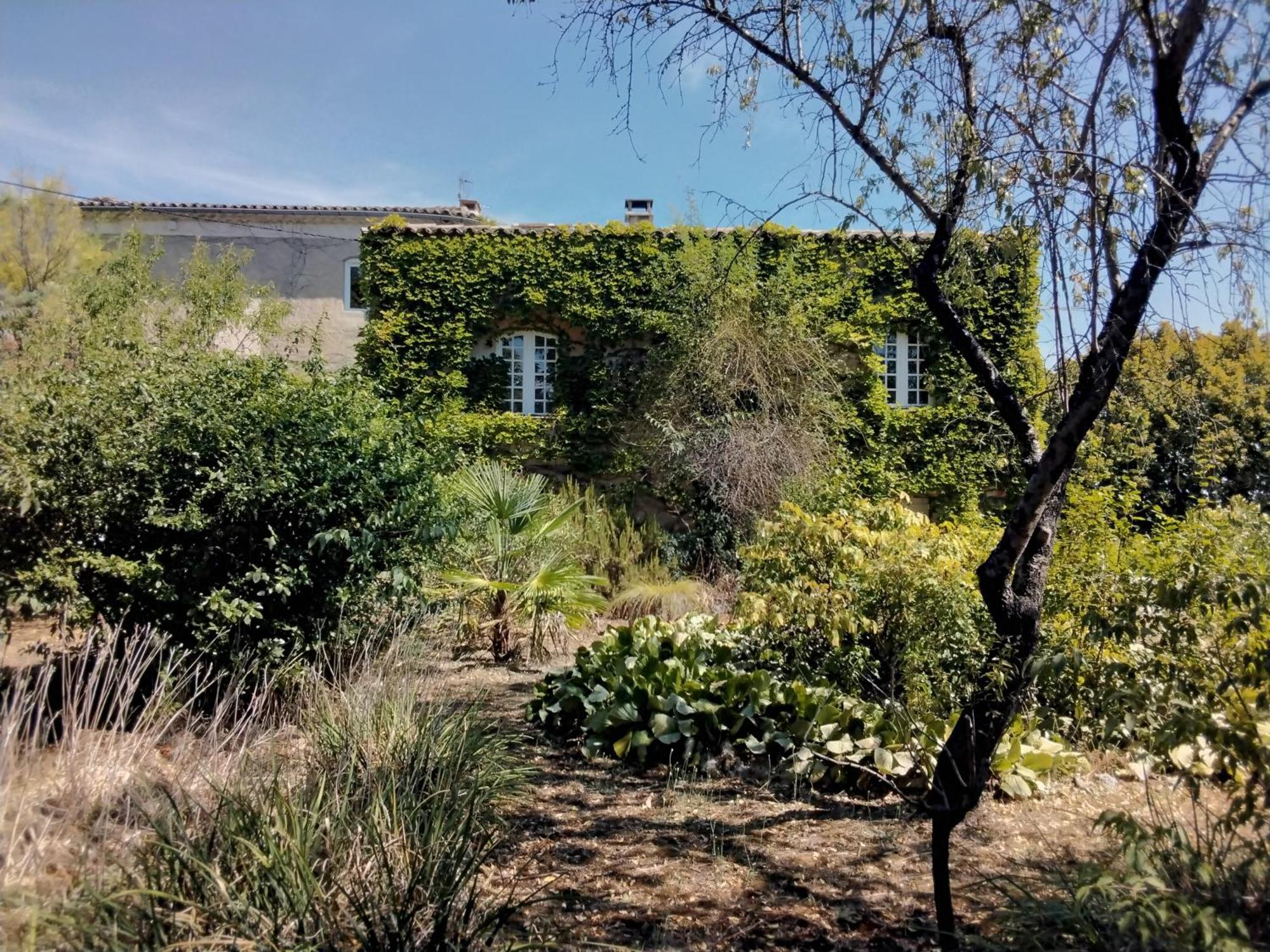 Le Domaine Du Soulier -Gite Et Chambres D'Hotes - La Maison Du Gardien Tornac Екстер'єр фото